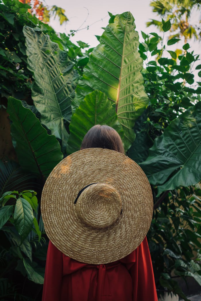 Person in Brown Woven Sun Hat Standing Beside Green Leaves